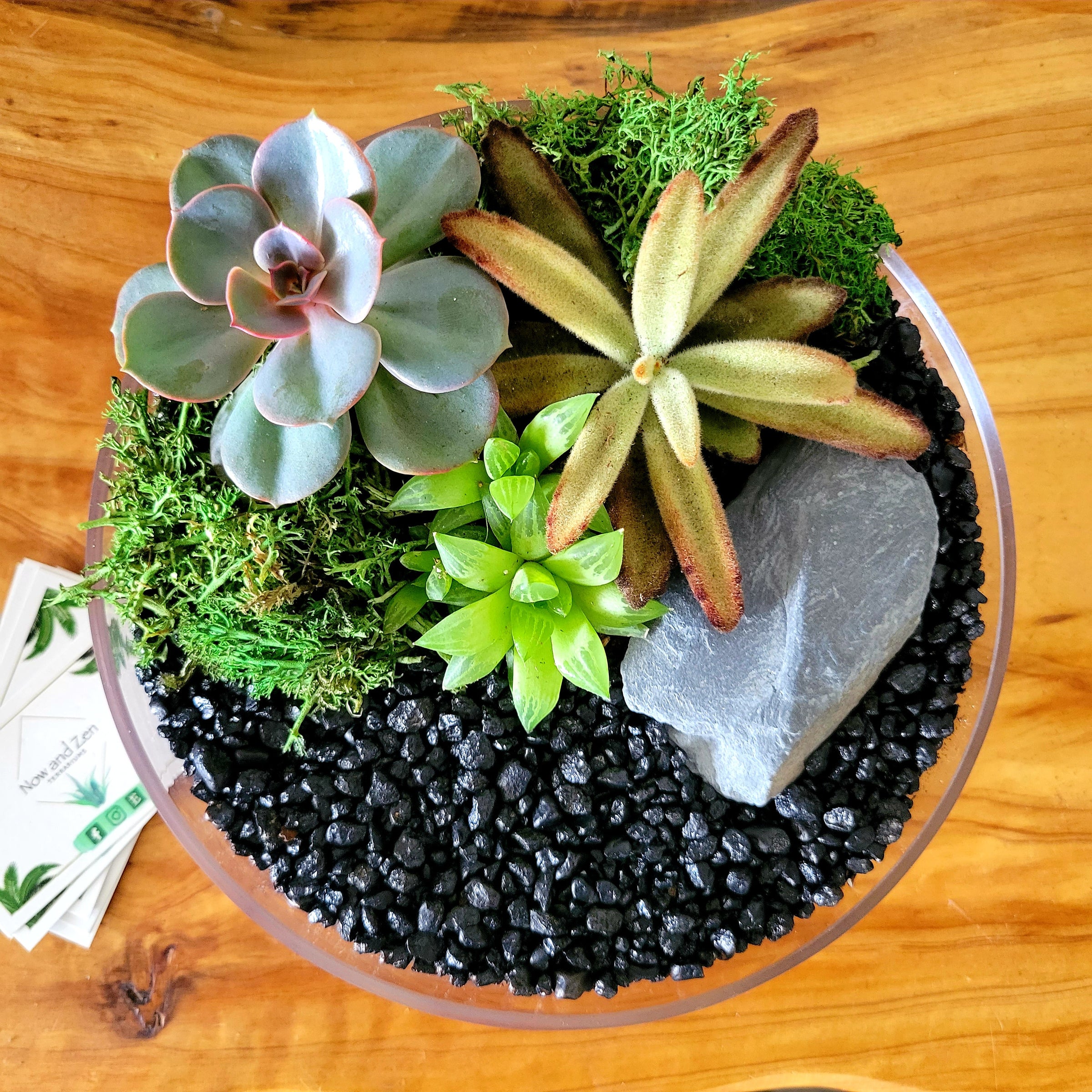 Succulent Terrarium Workshop | Now and Zen DIY Studio