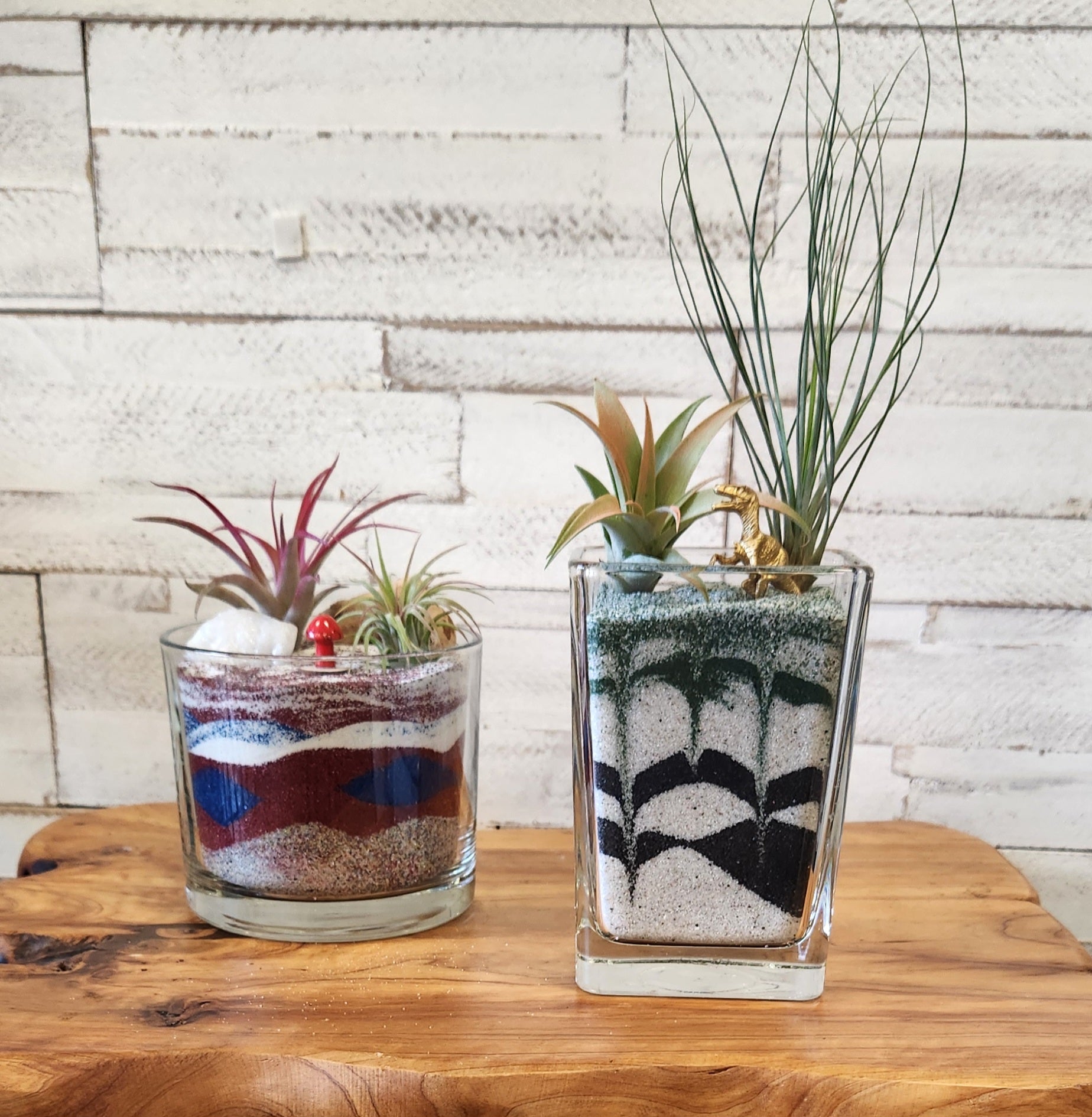 Sand Art - Air Plant Workshop | Now and Zen DIY Studio