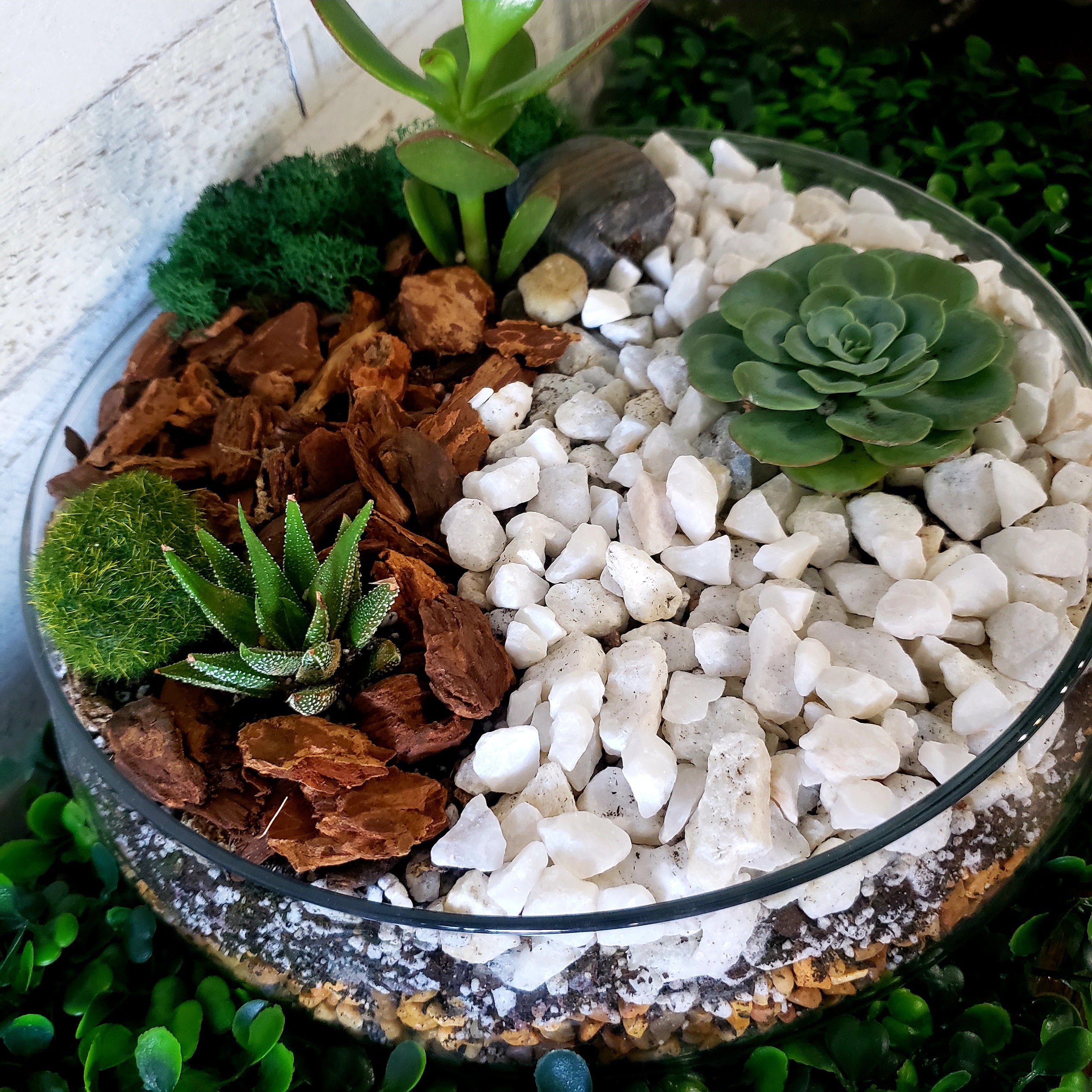 Succulent Terrarium Kit Only $58.00 – Garden Streets